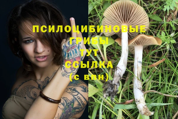 синтетический гашиш Кодинск