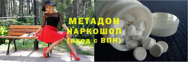 стафф Корсаков