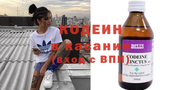 стафф Корсаков
