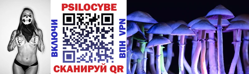 Купить закладки  Донецк  Псилоцибиновые грибы Psilocybe 